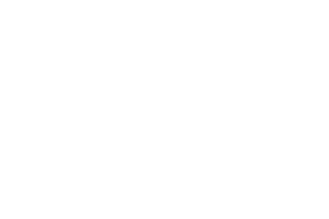 Логотип: НЛМК